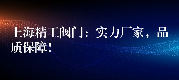 上海精工阀门：实力厂家，品质保障！